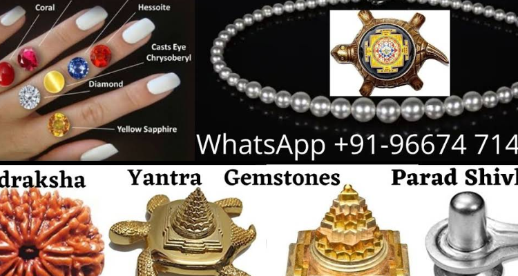 Pandit Narender Sharma Best Astrologer in Chennai