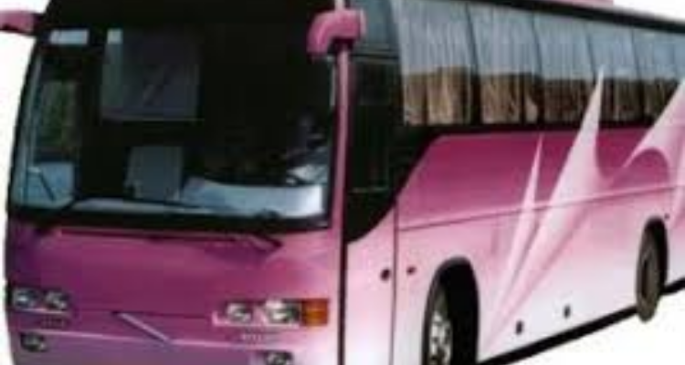 Novah Tours & Travels