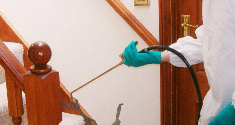 Aavinash Pest Control Service in Chennai