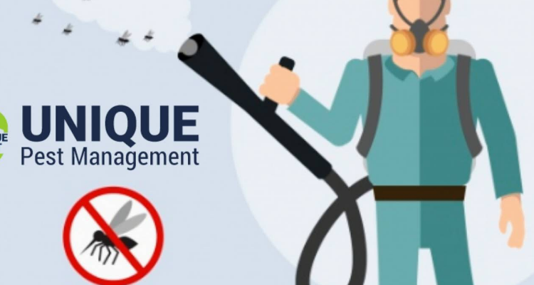 Unique Pest Control - No.1 Pest Control Services in Chennai