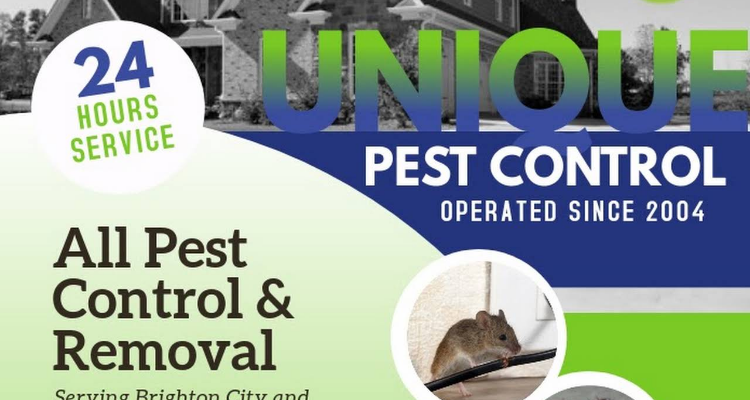 Unique Pest Control - No.1 Pest Control Services in Chennai