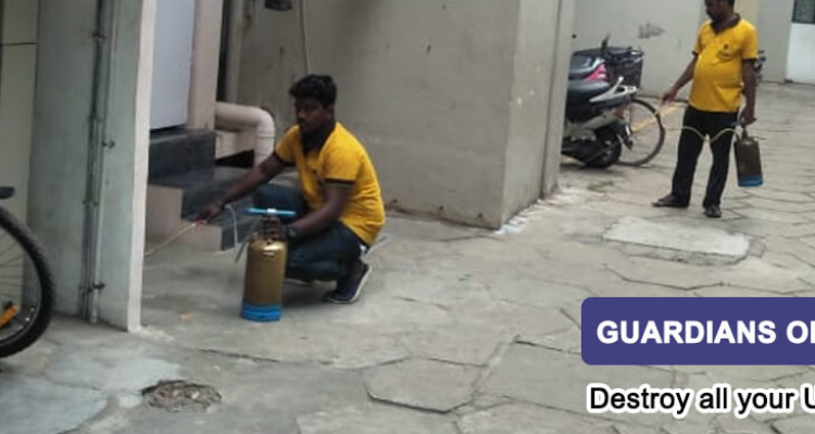SUGUNA PEST CONTROL - Chennai