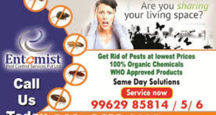 Entomist Pest Control Service Pvt Ltd - Chennai