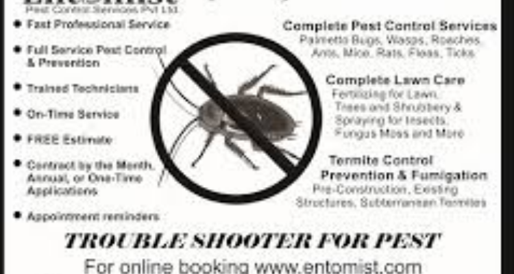 Entomist Pest Control Service Pvt Ltd - Chennai