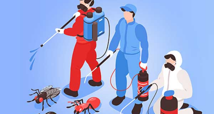 Acme pest control- Chennai