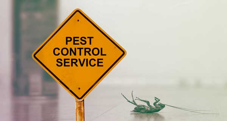 Acme pest control- Chennai