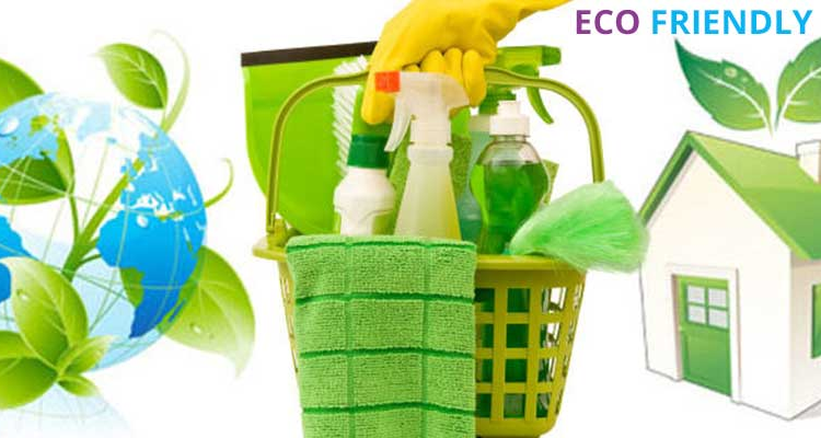 Acme pest control- Chennai