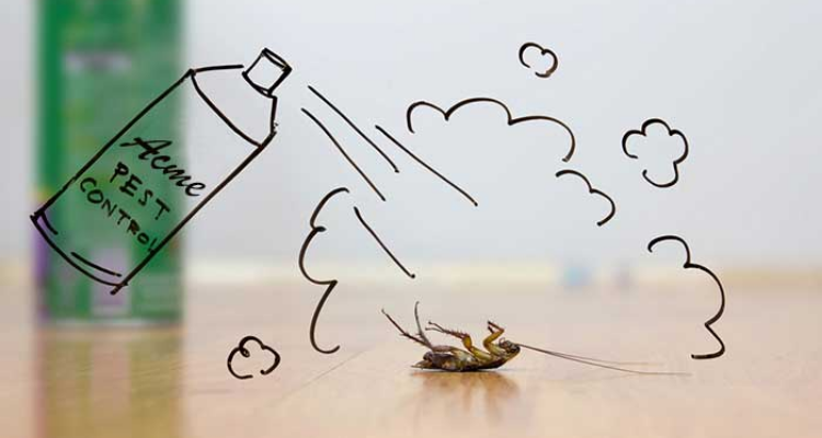 Acme pest control- Chennai