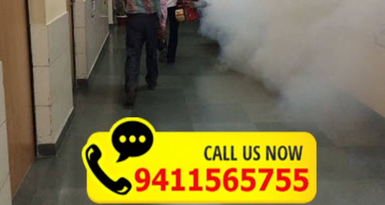 Himalayan Pest Control Services - Roorkee