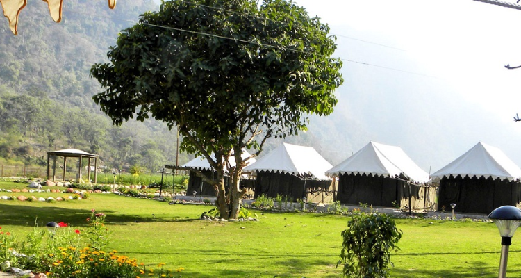 Winter Line Adventure Camp in Mussoorie