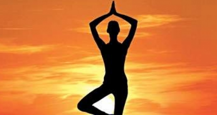 NICE Yoga And Naturopathy Bureau - Roorkee