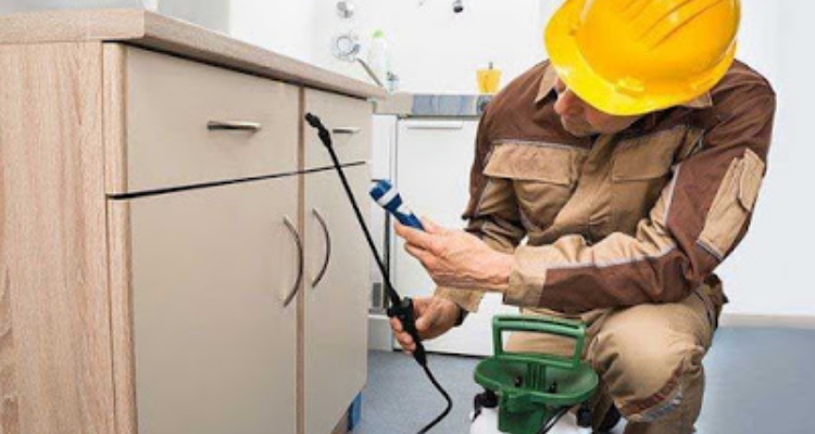 Global Pest Control Services - Roorkee