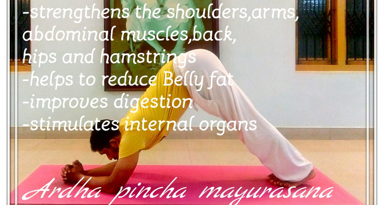 Rudraksha Yoga Meditation & Ayurveda Center - Roorkee