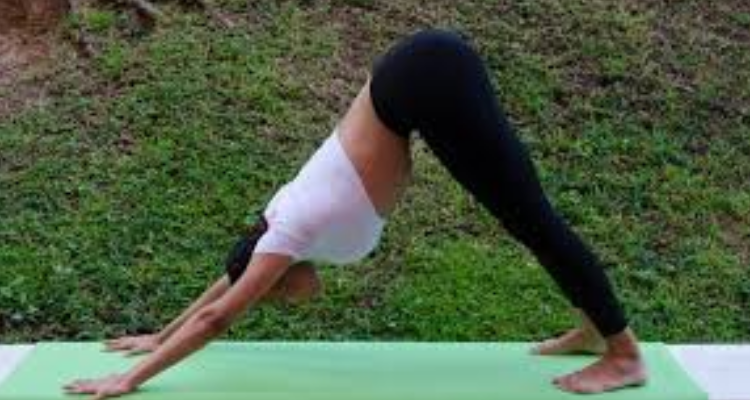 Feminine Fitness and Yoga Center - Roorkee
