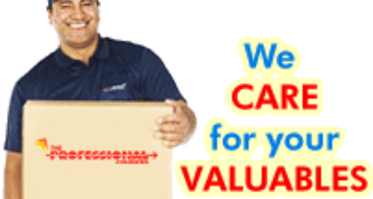 The Professional Couriers - Haridwar