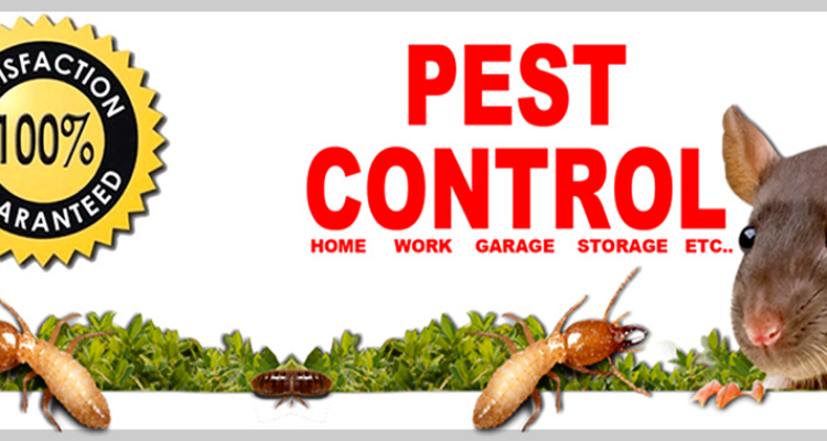 Dehradun Pest Control Services - Dehradun , Haridwar
