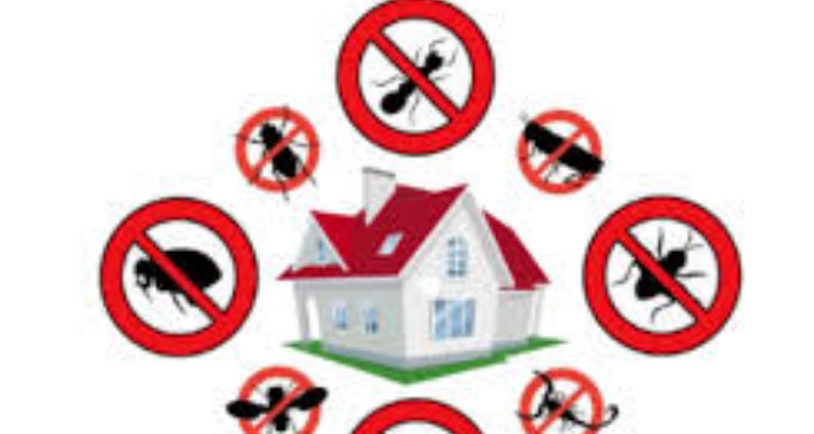 Sonu pest Control services uttrakhand - Haridwar / Dehradun/ Rishikesh