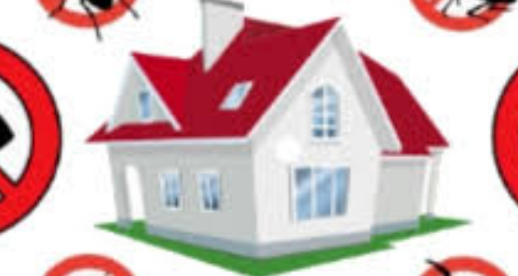 Sonu pest Control services uttrakhand - Haridwar / Dehradun/ Rishikesh