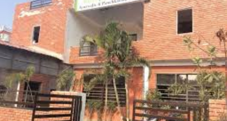 Vedik Kaaya Ayurvedic And Panchkarma Center - Haridwar