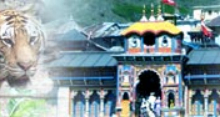 Sargam Estate - Tour and Travels
