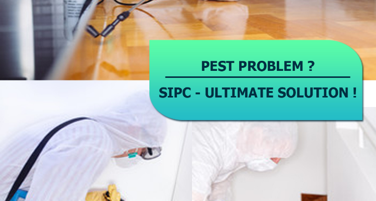 SOUTH INDIA PEST CONTROL PVT LTD