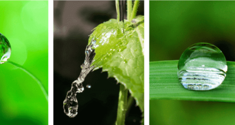 Automat Irrigation Pvt. Ltd.- Manufacturer in Uttarakhand