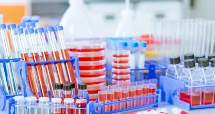 Fast Pharma Private Limited (Roorkee)