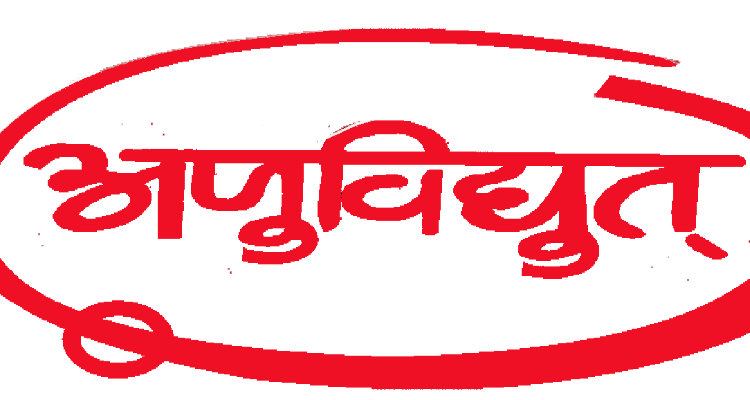 Anuvidyut Private Limited