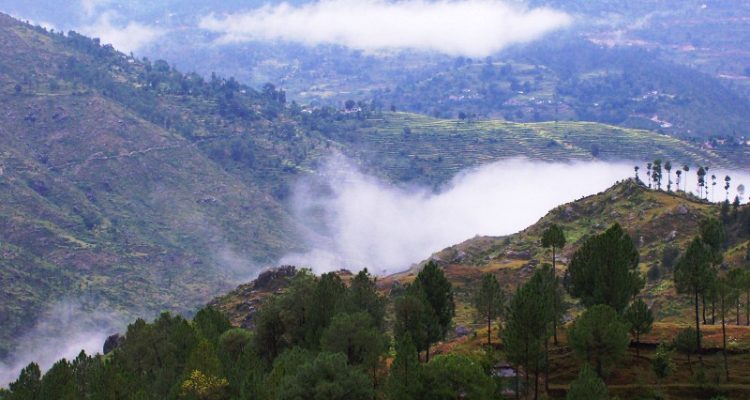 Uttrakhand Community (Photographer In Almora)