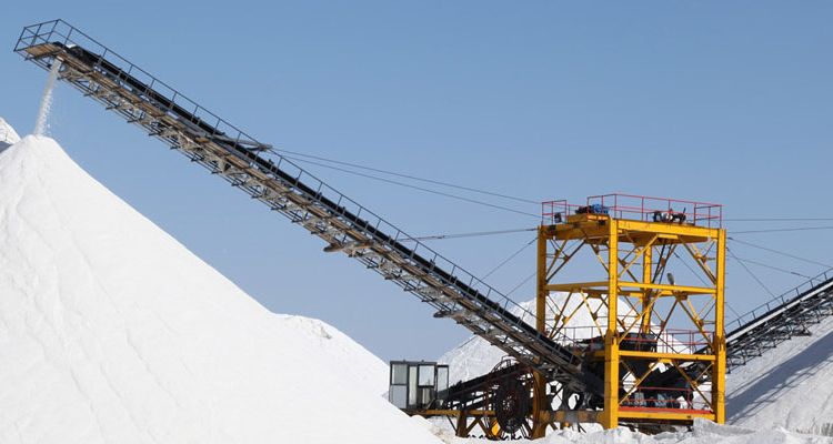 Bharath Salt Refineries