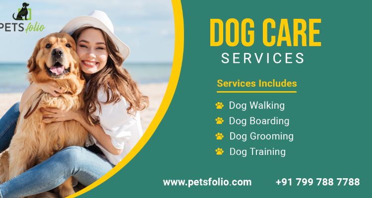 Dog walking, dog grooming, dog training, dog boarding services - Petsfolio