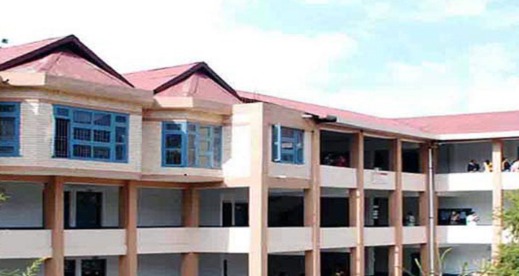 M.L.S.M. College
