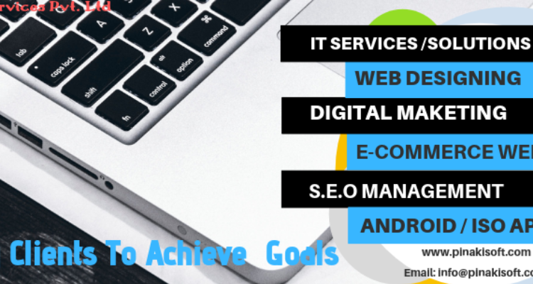 PINAKISOFT IT SERVICES PRIVATE LIMITED - Himachal Pradesh