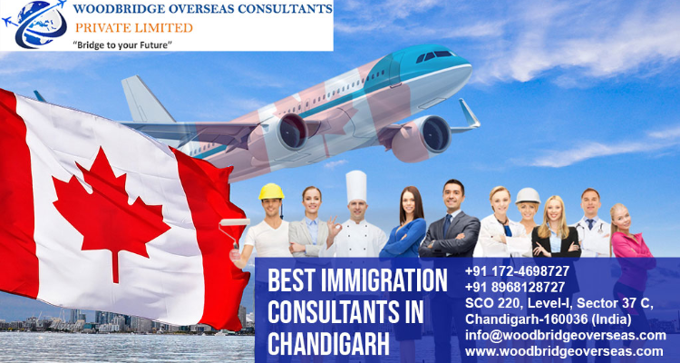 Woodbridge Overseas Consultants