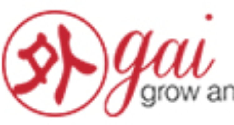 gai Technologies Pvt Ltd - Himachal Pradesh