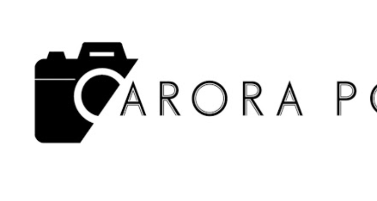 Arora Portfolio - Punjab