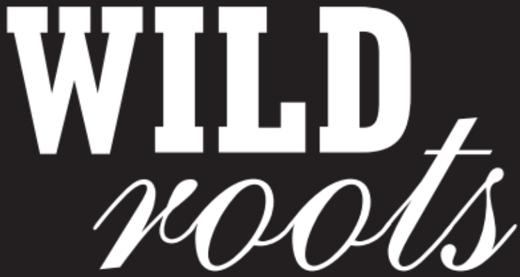 Makeup Artist in Chandigarh - WILD ROOTS SALON