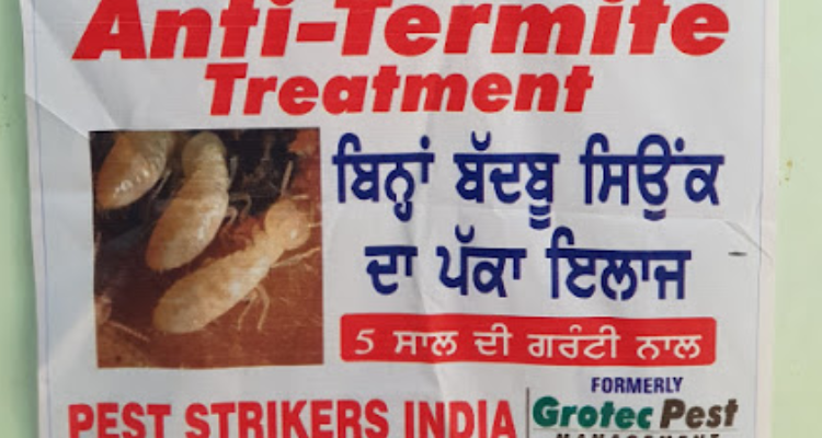 Pest Strikers India - Pest Control services in Punjab (Patiala)