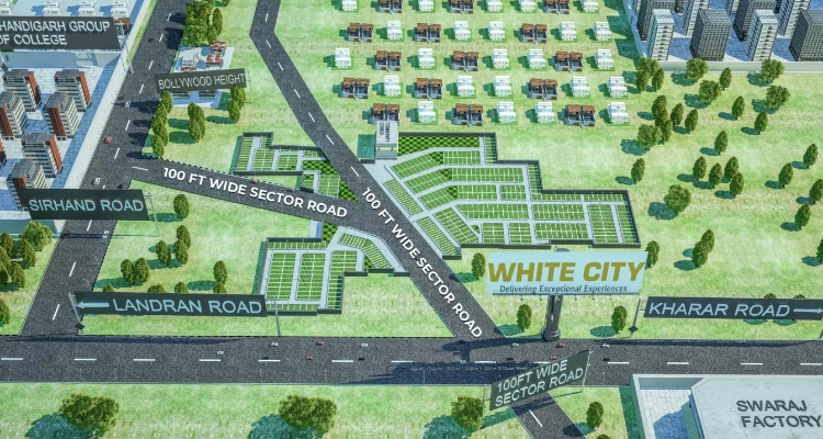 White City - Dealer In Punjab