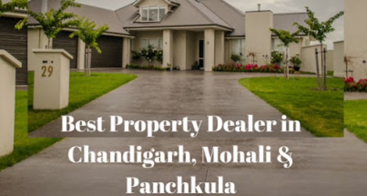 Property Dealers in Chandigarh - Ashoka Associates