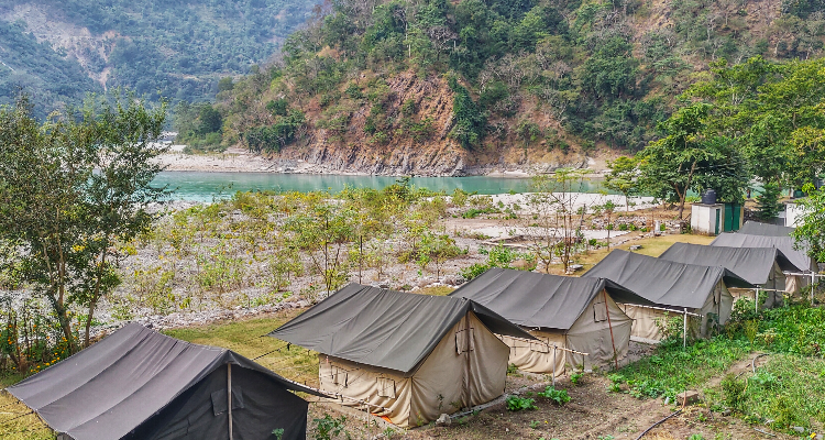 Real adventure guru - Ganga bank camp