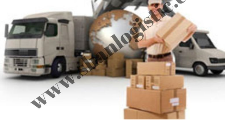 Shanlogistic