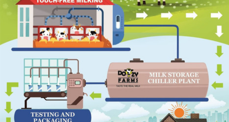 Doozy farm
