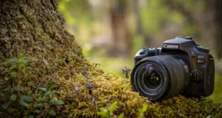 Suman photography - West Bengal