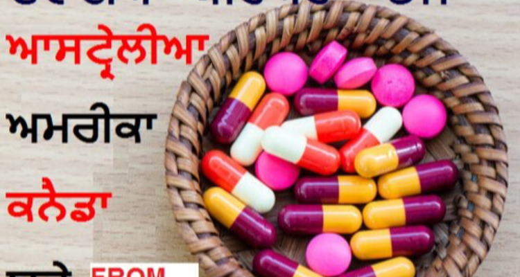 Medicine Courier Ludhiana to Spain Germany UK France