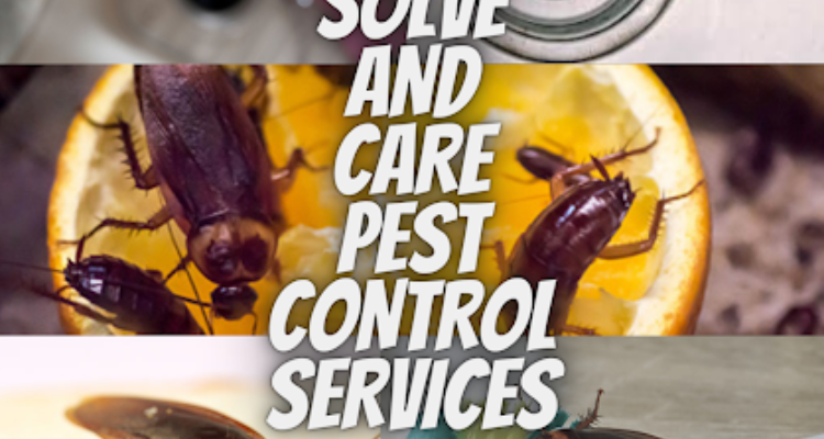 Solve And Care Pest Control Services In Kalyan