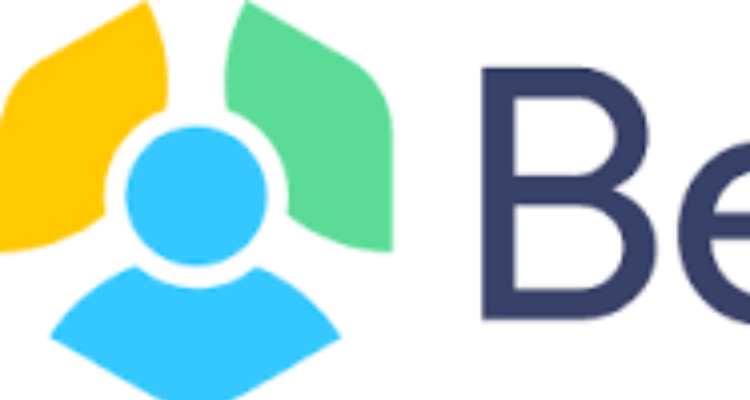 BestPeers InfoSystem Private Limited - Indore