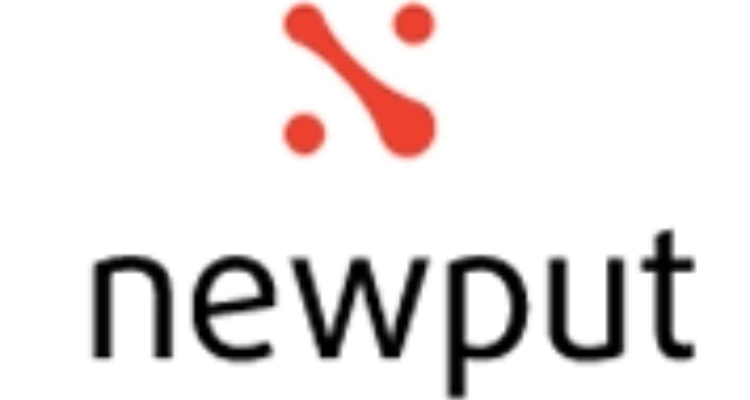 Newput Infotech Private Limited - Indore
