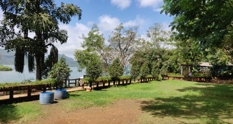 pawna lake camping