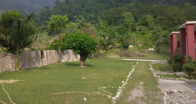 Junglelore Camp Resort & Retreat